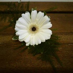 fwthumb19 gerbera buttonhole 2.95.jpg